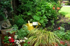 english_garden